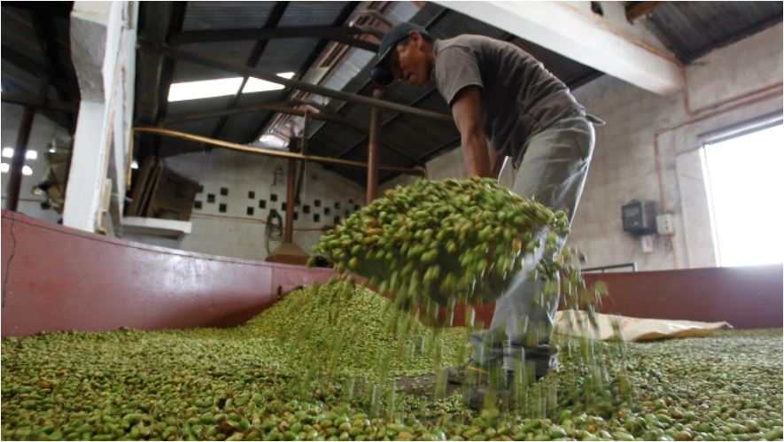 Estos son los mercados de exportación a los que ingresa Guatemala (y los productos más enviados) – Prensa Libre
