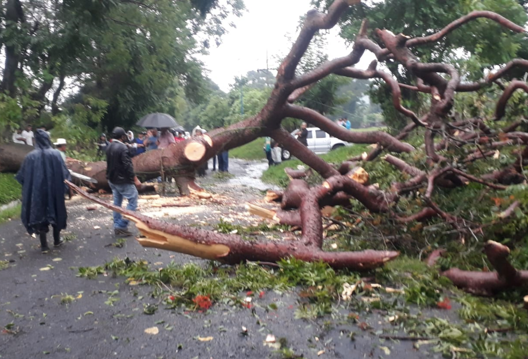 Las lluvias persistirán durante la semana y Conred teme inundaciones, deslizamientos y deslizamientos de tierra – Prensa Libre