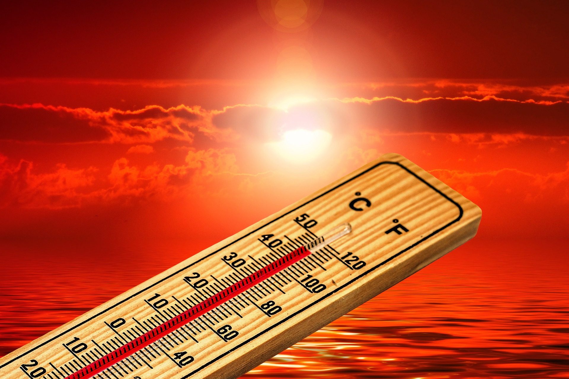 Las temperaturas frías y calientes extremas se han relacionado con 1,7 millones de muertes en 2019, según estudio – Prensa Libre