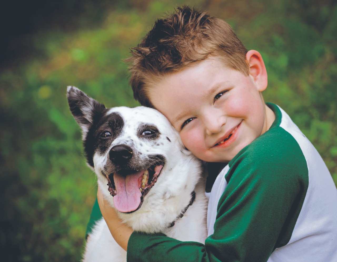 Cómo enseñar a los niños a respetar a los animales – Prensa Libre