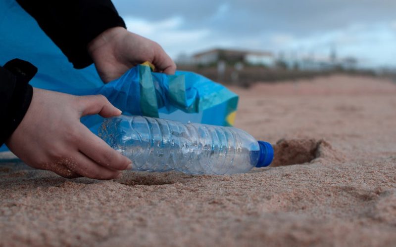 Desvelando afirmaciones de empresas top